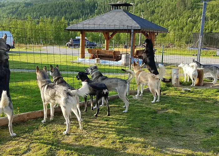 Visit Junkerdal