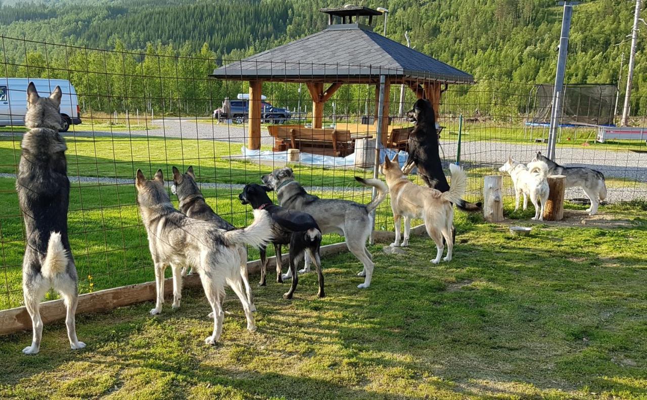 Visit Ferienhaus Junkerdal